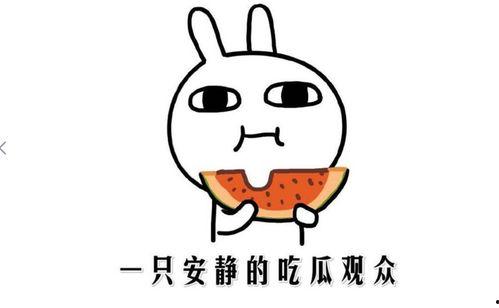 娱乐吃瓜酱如何吵架