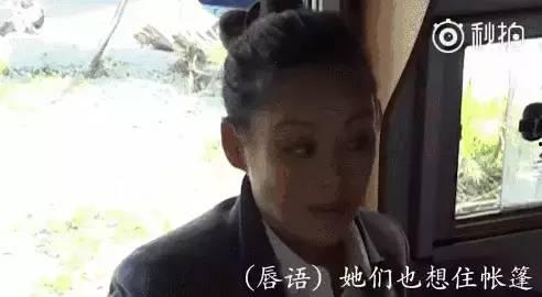 娱乐圈里的吃瓜群众