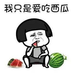 最近娱乐圈有什么瓜可吃,揭秘明星幕后故事与热点事件